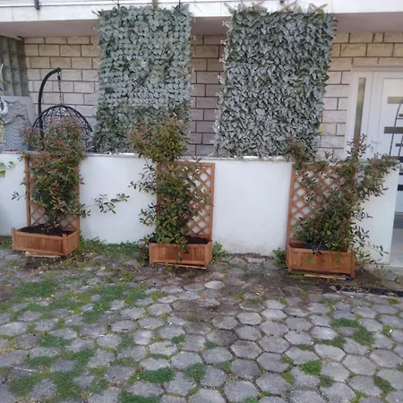Apartment Erceg Porec Exterior photo